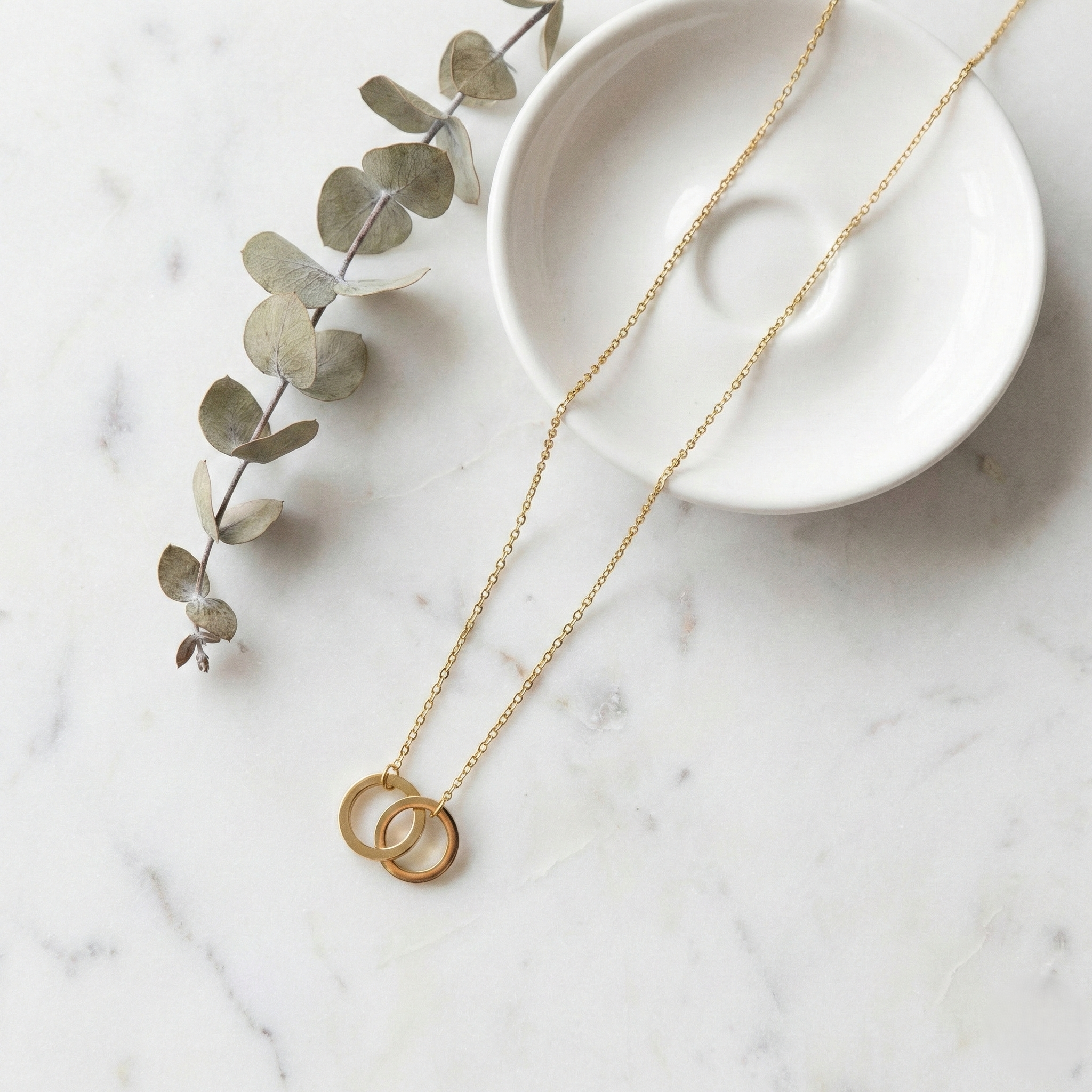 Interlocking Circle Necklace
